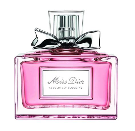 parfum cheveux miss dior|best price Miss Dior perfume.